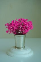 White baby's breath