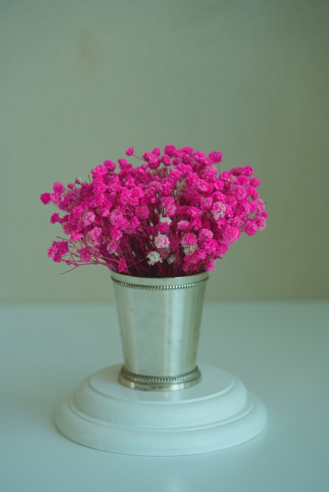 White baby's breath