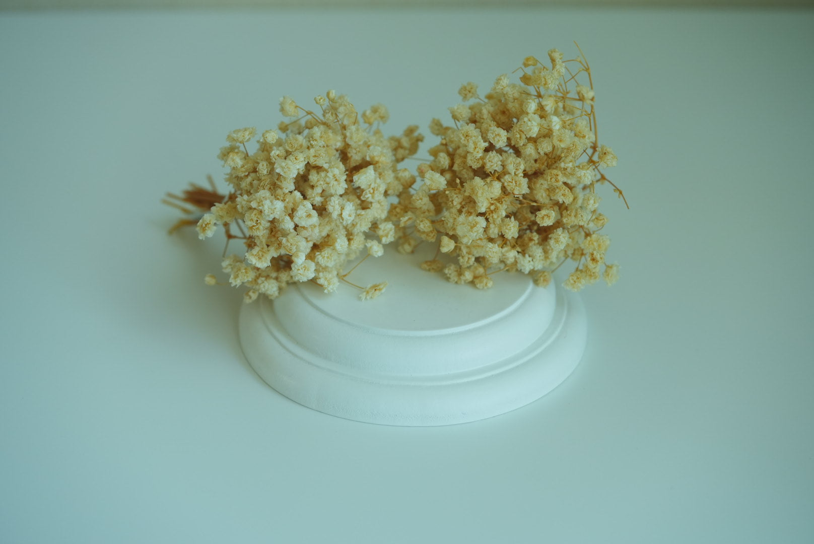 White baby's breath