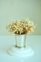White baby's breath