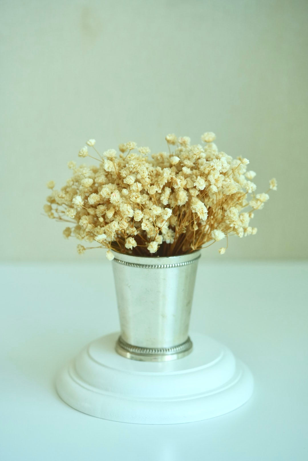 White baby's breath